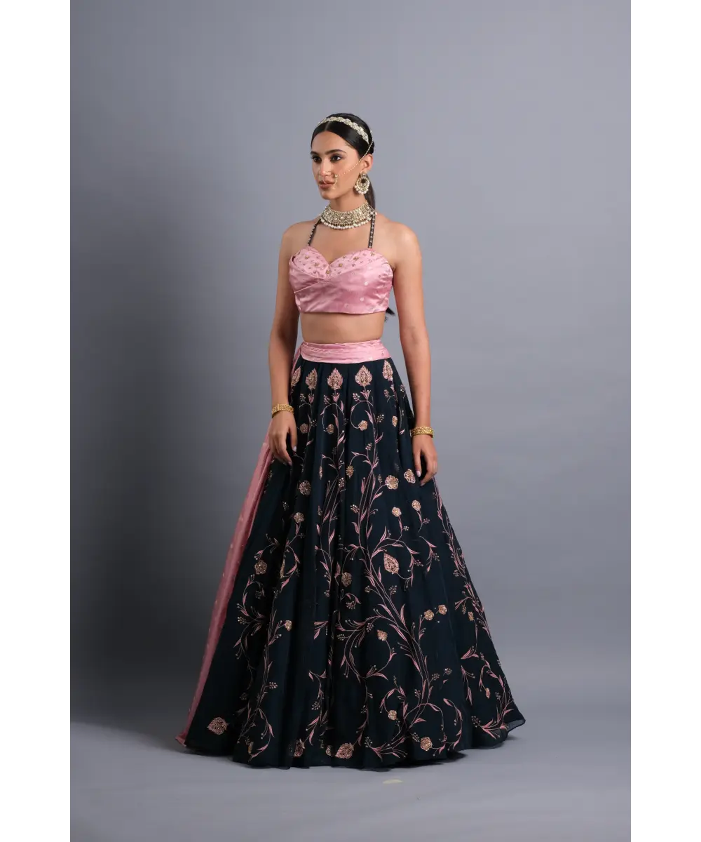 AASTHA SOOD - Midnight blue embroidered Organza Lehenga